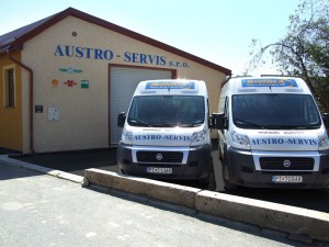 Austroservis auta 1